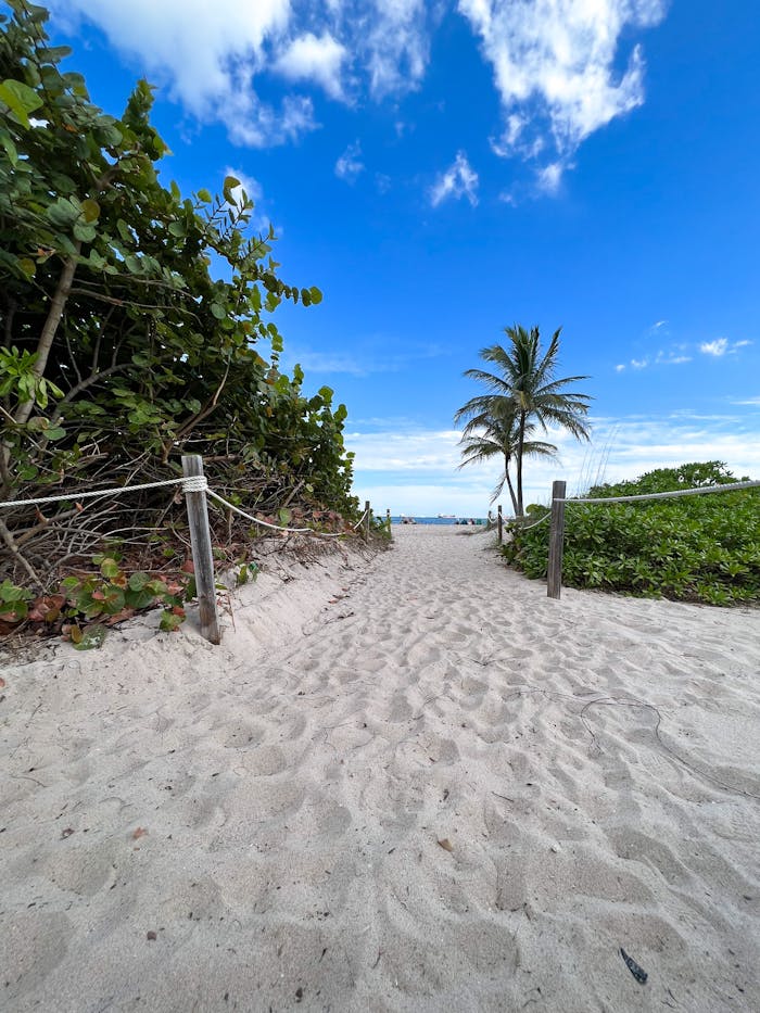 Walkway at the Beach